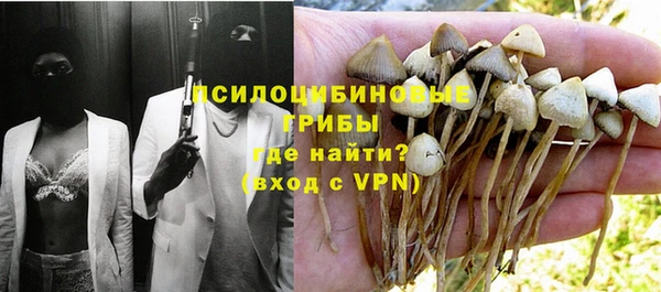 трава Алзамай